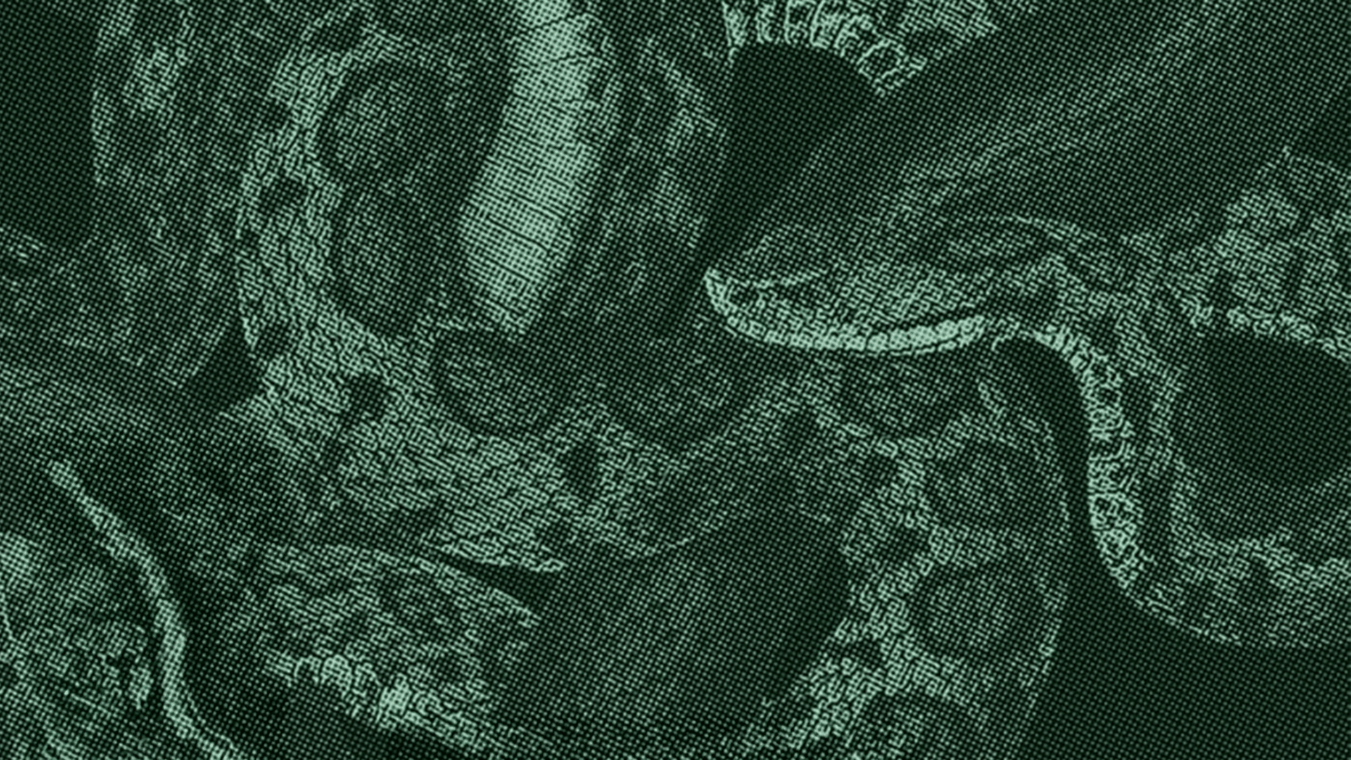 Les Vipères ne tombent pas du ciel. L’écologie au défi des classes populaires