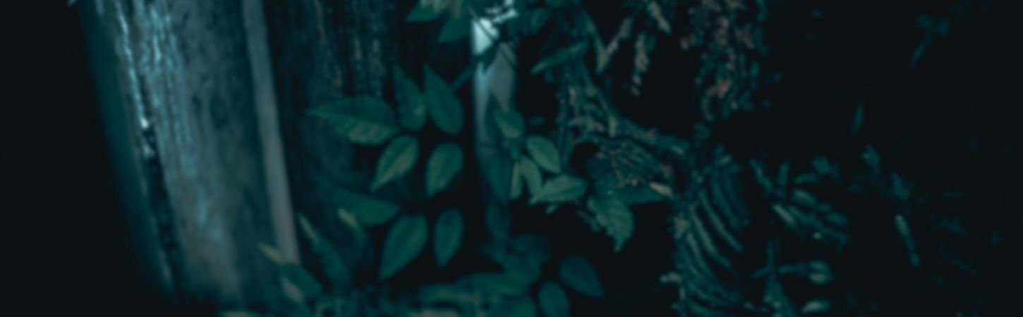 Alejandra Vaughan + Amrmando_360