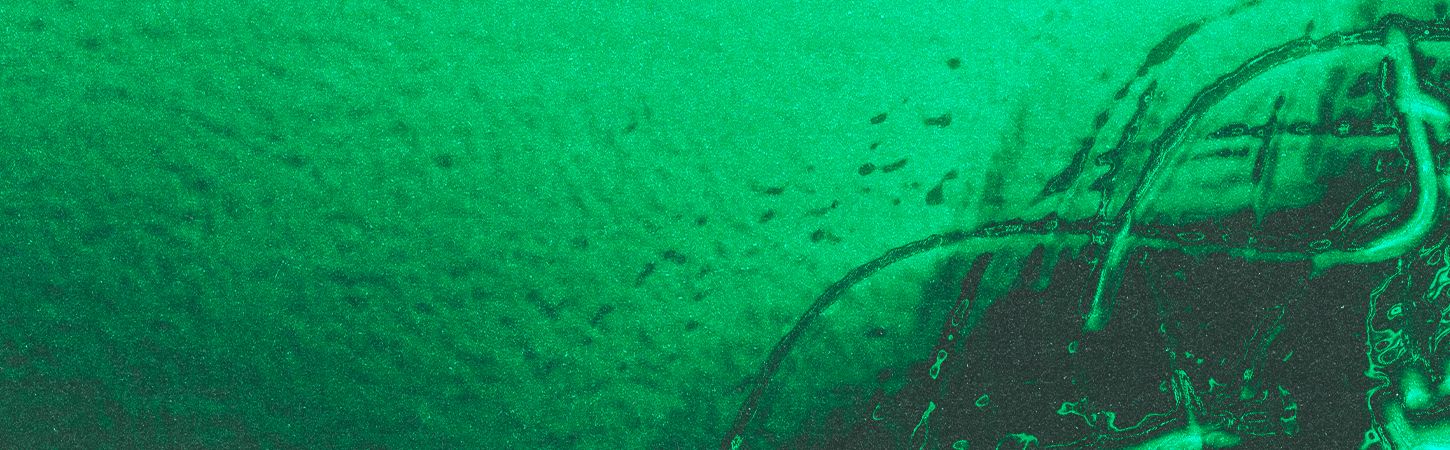 Collectif Léna : Aza Seva + Lensub