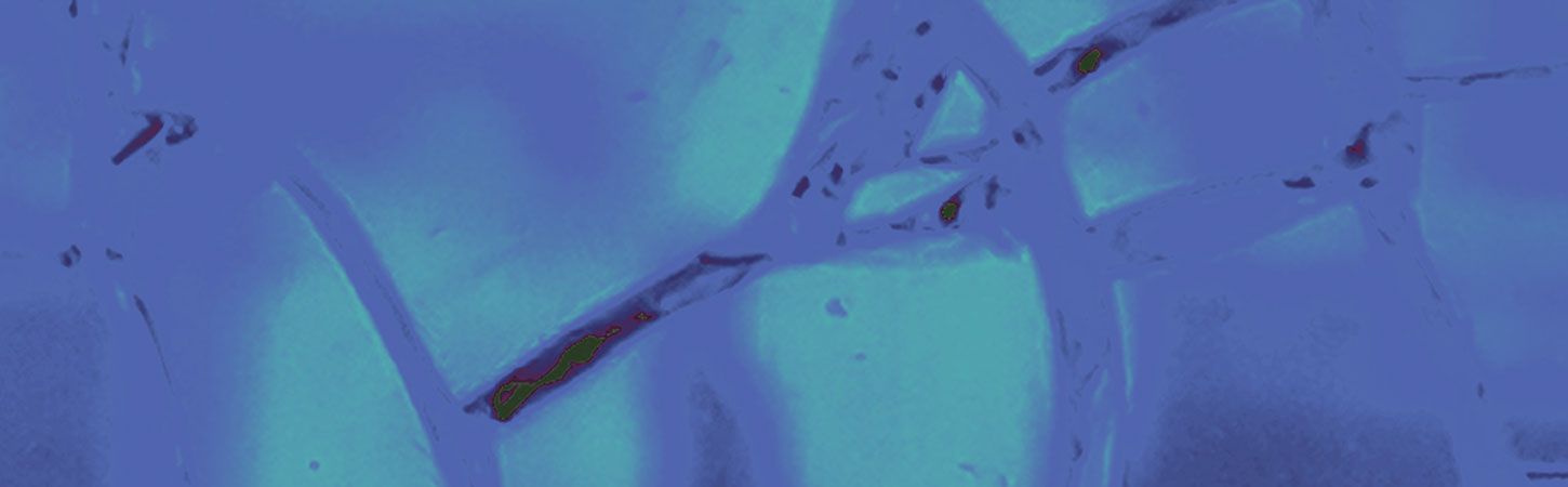 Paulette Sauvage residency