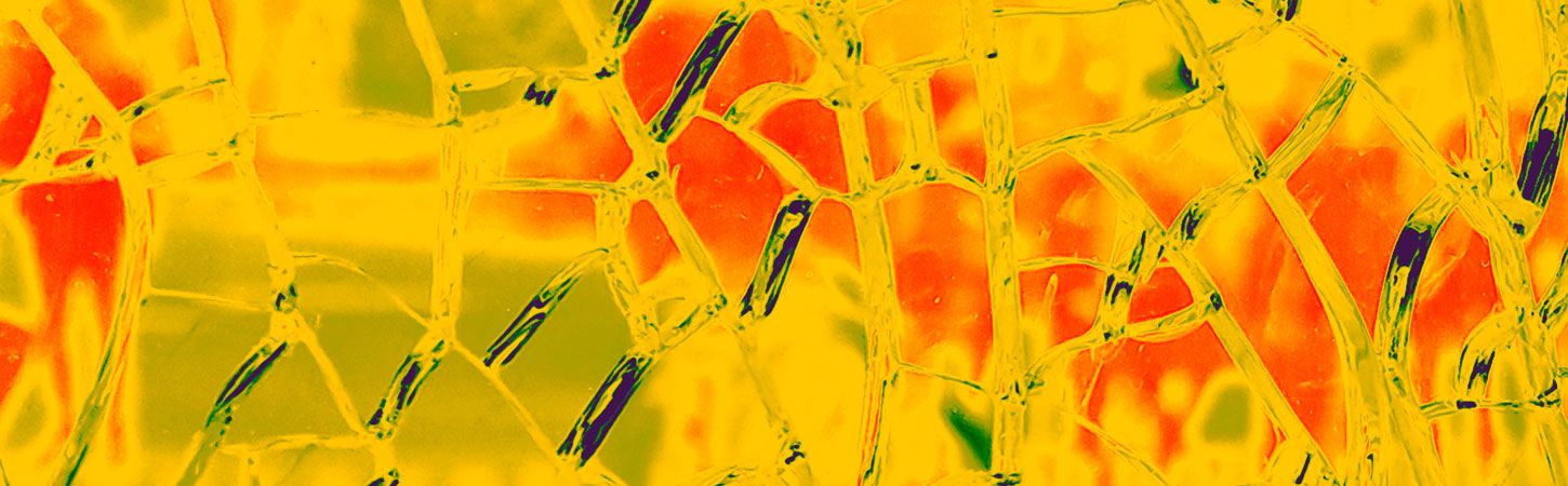 Dj City + Paulette Sauvage 