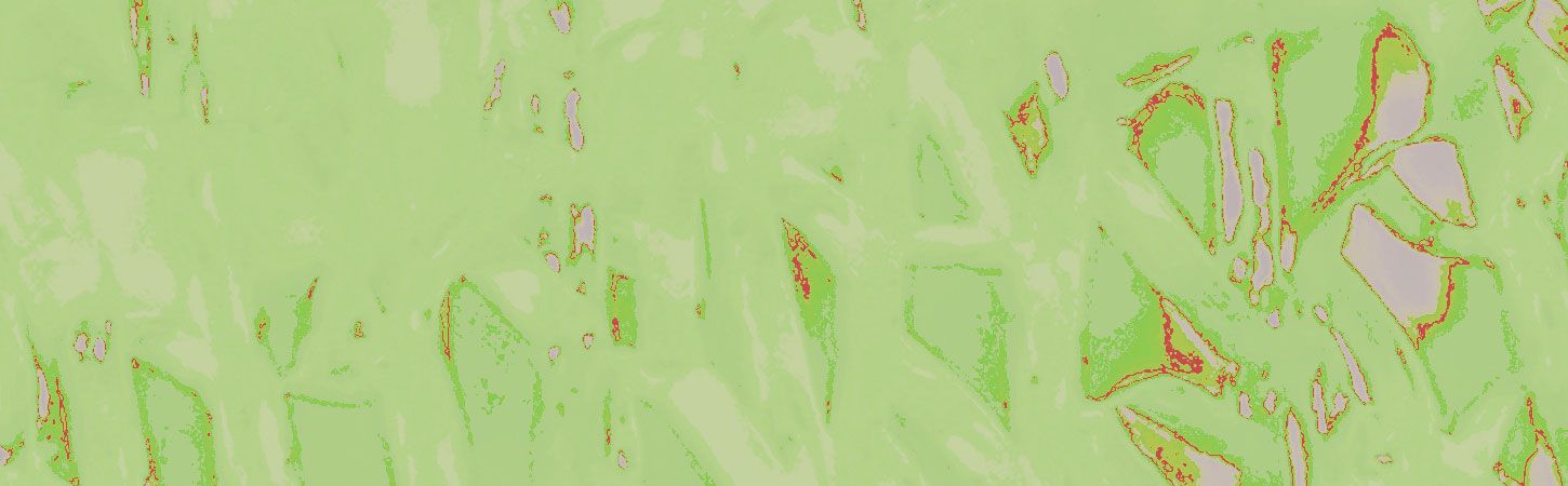 Paulette Sauvage residency 