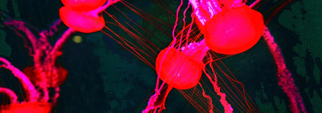 CTM Festival - Berlin