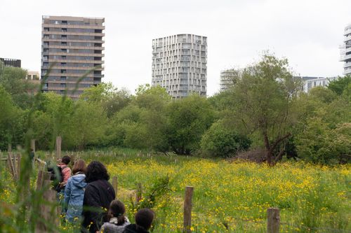 © Camille Orlandini · Une histoire comestible de la petite Amazonie avec Nantes lit dans la rue, Disco-bol et les élèves de l’école Henri Bergson