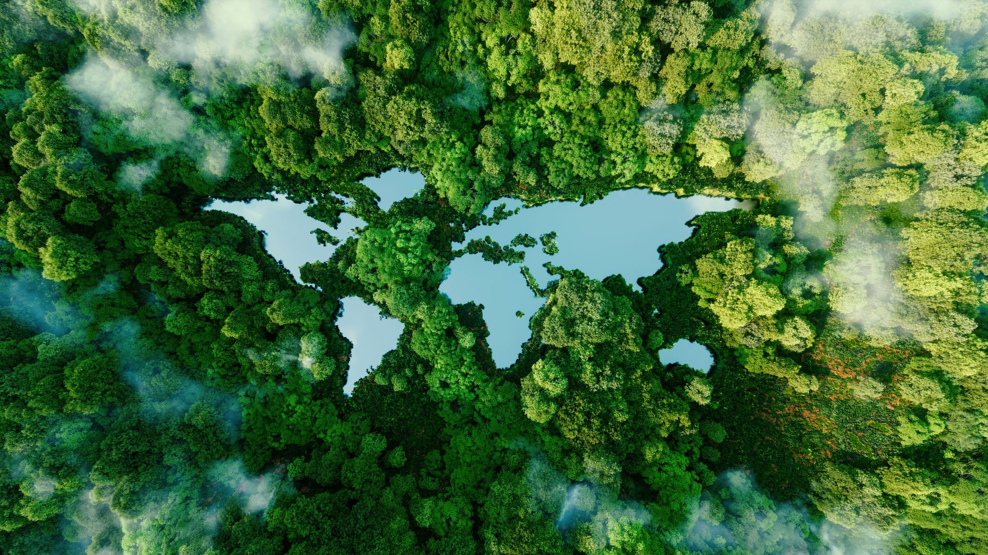 L’écologie, l’affaire de toutes et tous