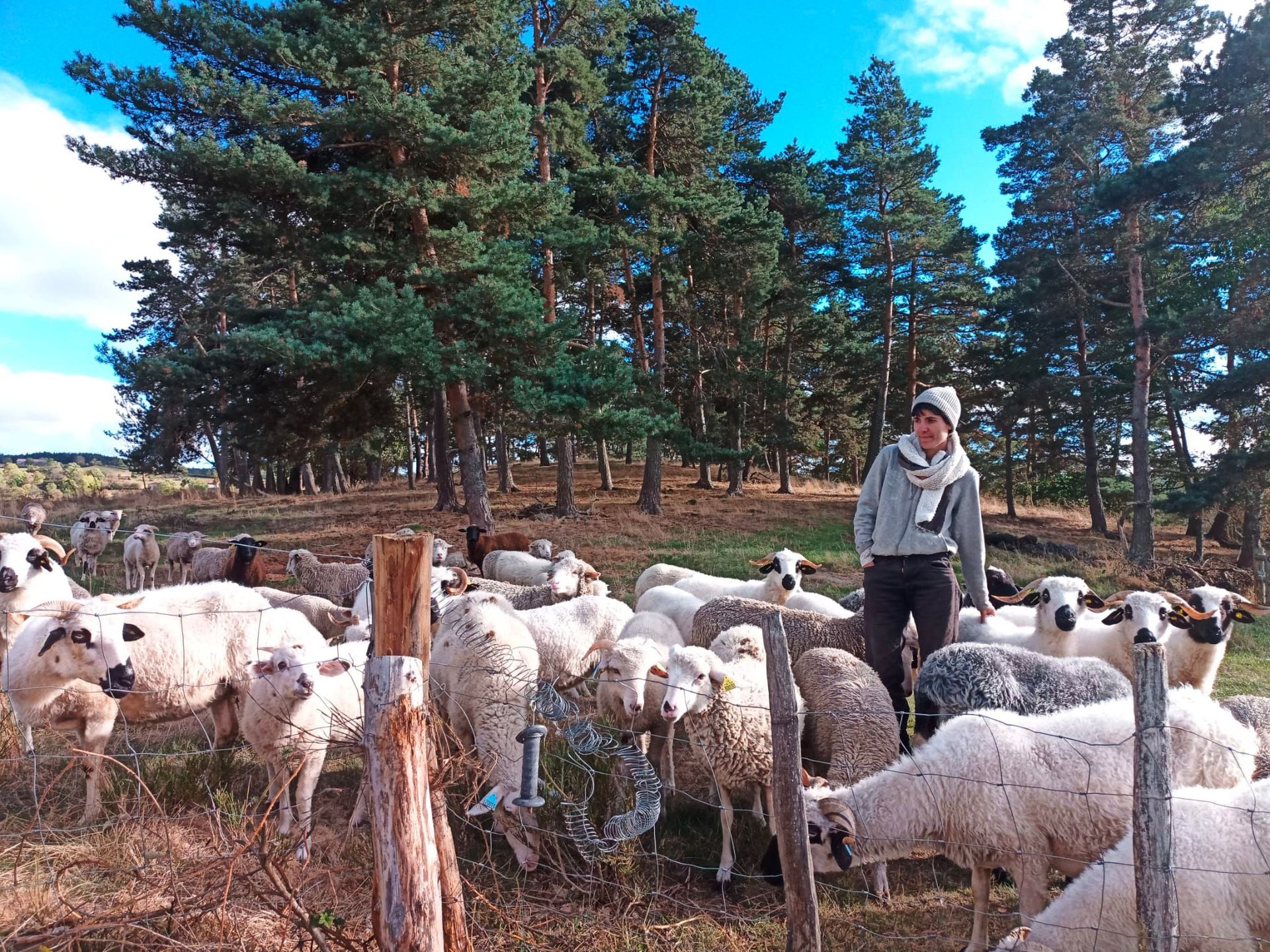 Bergères et poètes