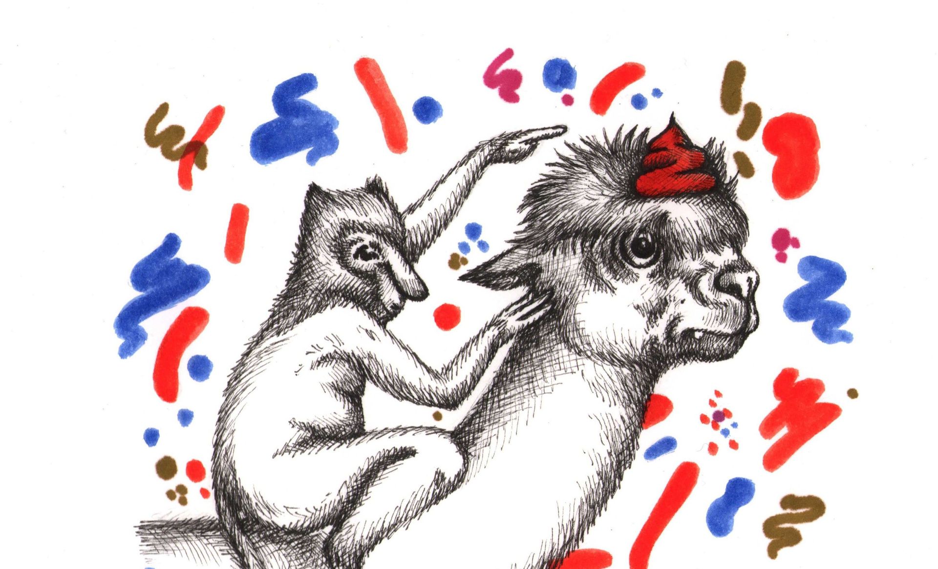 Curiosités animales : le caca des animaux