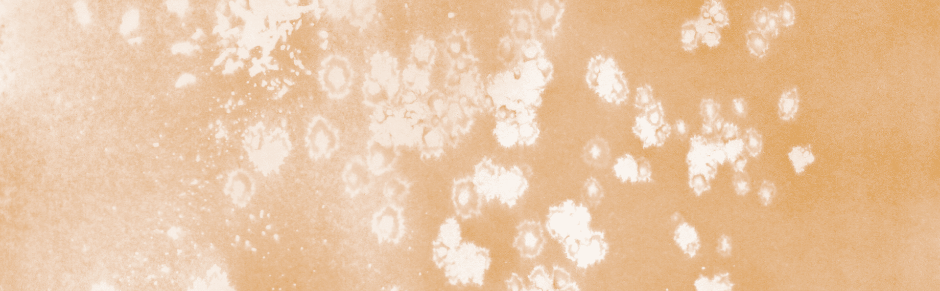 Collectif 112vkrm: Coco Parker + Jeanne d